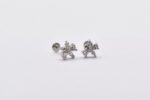Κασετίνα Σκουλαρίκια Αυτιού –  Tragus (Stainless Steel) - Image 8